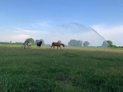 Écurie COUSANDIER, Centre Equestres à Fort-Louis