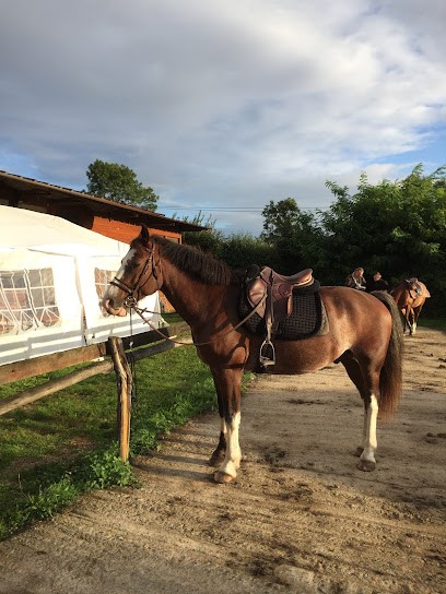 FERME EQUESTRE DES TERTRES, Centre Equestres à La Chapelle-près-Sées