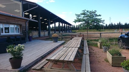PONEY CLUB DE CHAMPLONG, Centre Equestres à Villerest