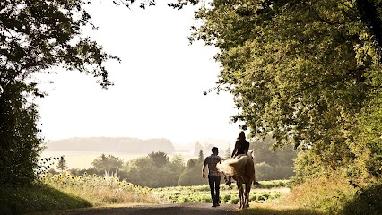 Pension Du Lys, Pension pour Chevaux à Soubran