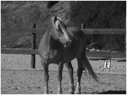 Les Écuries du Lou blanc, Centre Equestres à Mévouillon