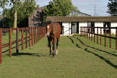 Écuries EQUI’LIBRE, Centre Equestres à Wambrechies