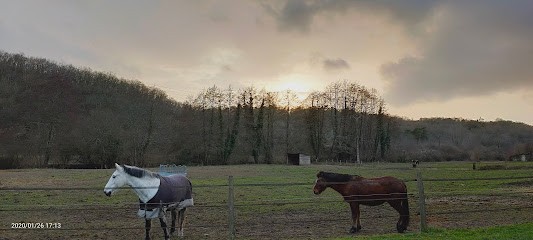 PONEY CLUB DU MOULIN DU GOT, Centre Equestres à Dirac