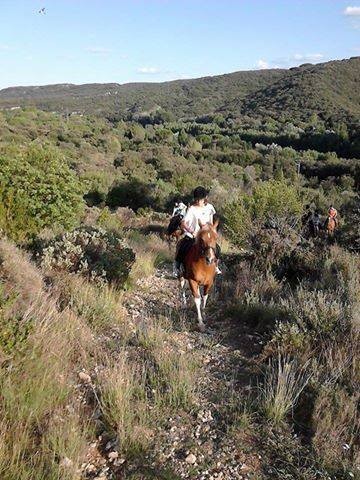 Equestrian Center Du Pont Du Gard, Centre Equestres à Collias