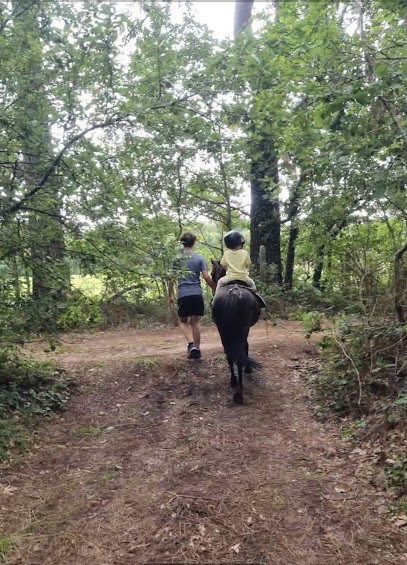 Equestrian Center Le Pas Du Marquis, Centre Equestres à La Teste-de-Buch