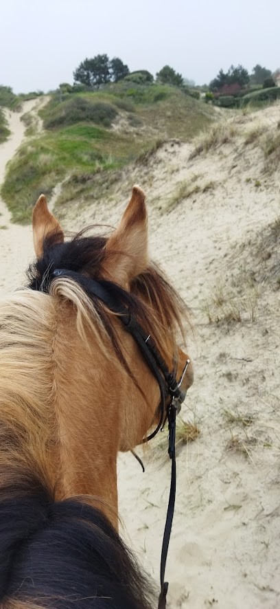 Space Equestrian Henson Le Touquet, Centre Equestres au Touquet-Paris-Plage