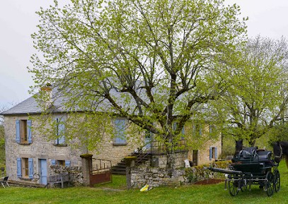Domaine Équestre Centaure, Centre Equestres à Coeur de Causse