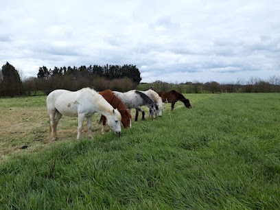 Equi'séjour, Centre Equestres à Pordic