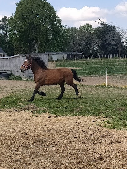Centre Équestre Les Rosières, Centre Equestres à Plessé