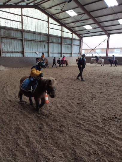 Equestrian Center Du Galinay, Centre Equestres à Roche-la-Molière