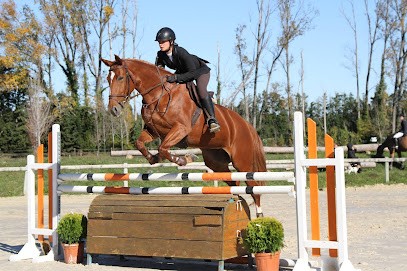 EcurieWP, Centre Equestres à Sorgues