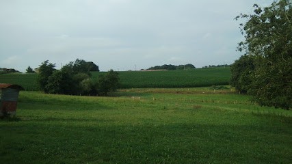 Écuries Lilou de Lafitte, Pension pour Chevaux à Habas