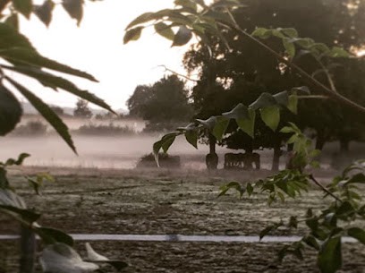 La Pièce D'hyppocrène, Centre Equestres aux Sorinières