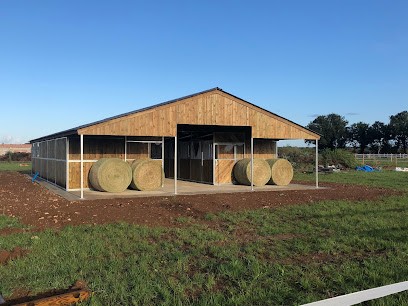 Ecurie de la croix, Pension pour Chevaux à Saint-Simon-de-Pellouaille