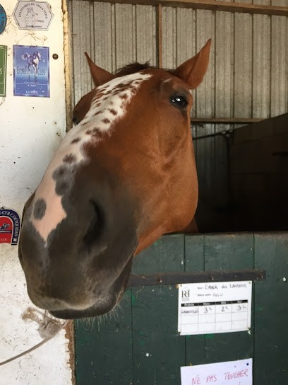 ECURIES DU VIEUX PUITS, Centre Equestres à Questembert