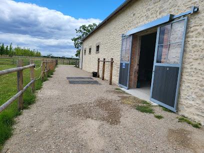 Les Écuries Du Dhuy, Pension Pour Chevaux à Saint-Cyr-en-Val
