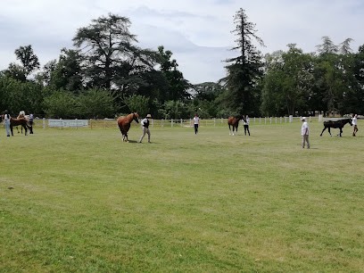 Equestrian Center Pitray, Centre Equestres à Saint-Étienne-de-Tulmont