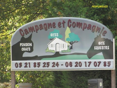 Boutroy-Polley, Centre Equestres à Peuplingues