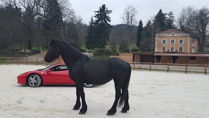 Jolivet Laurent, Centre Equestres à La Talaudière