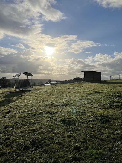 Ecurie Grillon, Centre Equestres à Orliénas