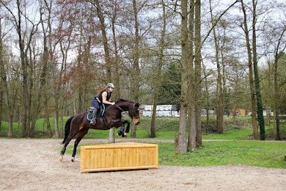 Le Poney Bleu, Centre Equestres à Nailloux