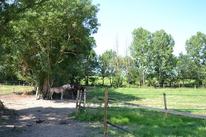 CRF Equine, Pension pour Chevaux à Maisdon-sur-Sèvre