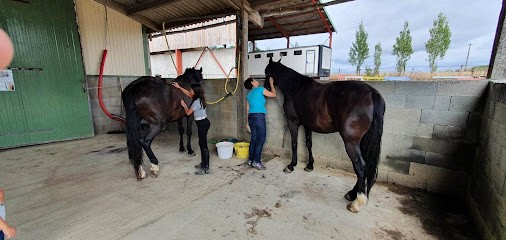 Ecuries d'Ydill pensions Stéphane BAILLIF, Pension pour Chevaux à Bréhand