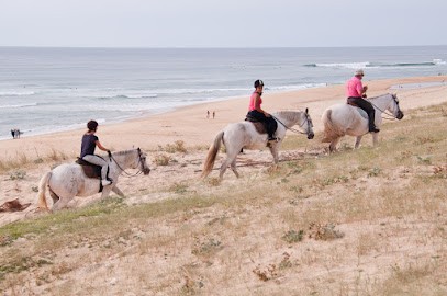 Centre Equestre De La Prade, Centre Equestres à Messanges