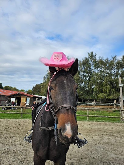 Les Écuries Du Perreux, Centre Equestres à Cléville