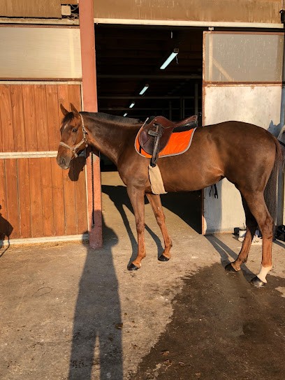 CAVALIERS DE BEL AIR, Centre Equestres à Pont-à-Mousson