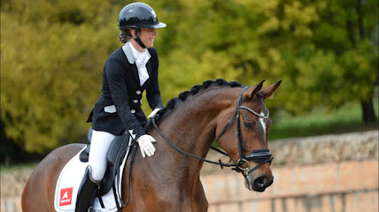 Haras De Jupiter Dressage, Centre Équestre à Beaulieu