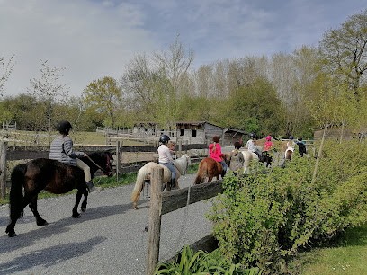 Ludo Poney, Centre Equestres à Villeneuve-d'Ascq