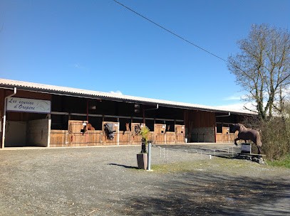 Les Écuries D'orepère, Centre Equestres à Saint-Père-en-Retz