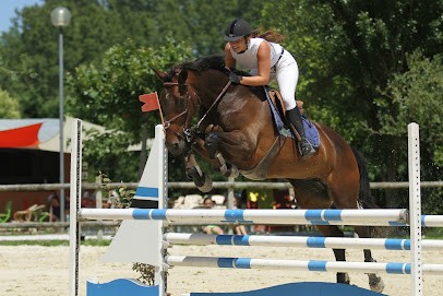 Center Riding Adaptée Farella, Centre Equestres à Saint-Nazaire