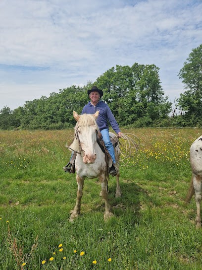 DREAMLAND RANCH, Centre Equestres à Saint-Philbert-de-Grand-Lieu