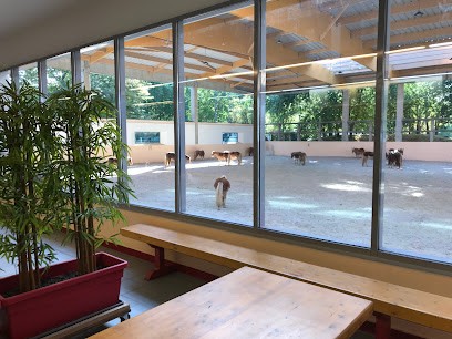 Centre Equestre De La Villette, Centre Equestres à Paris 19