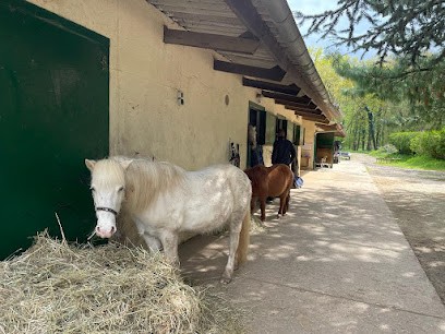 Centre Equestre De La Juine, Centre Equestres à Janville-sur-Juine