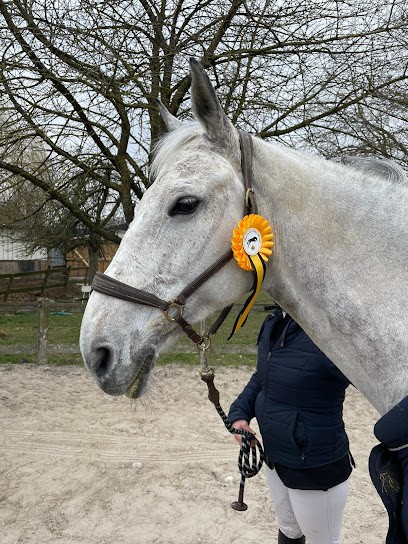 LES ECURIES DU BOSCHET, Centre Equestres à Saint-Martin-du-Boschet