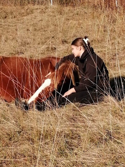 Equus Pleine Nature, Centre Equestres à Haut Valromey