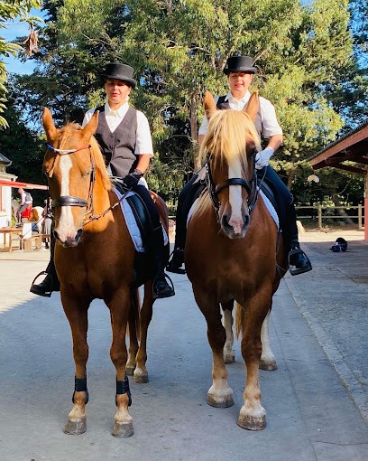 Écurie De La Ville Glé, Centre Equestres à Plérin