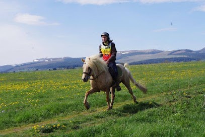 Les Islandais De La Rodde, Centre Equestres à Tauves