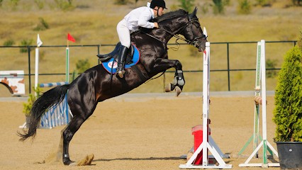 Les Ecuries De La Lône, Centre Equestres à L'Isle-sur-la-Sorgue