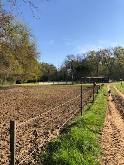Ecurie De La Source, Centre Equestres à Montussan