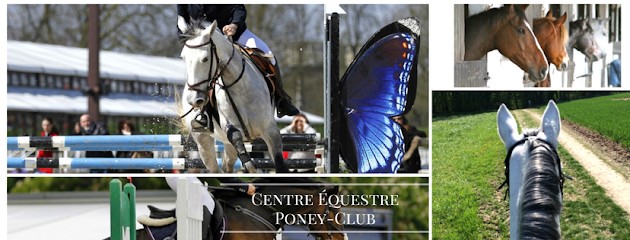 Equestrian Center La Lisière, Centre Equestres à Saint-Aubin