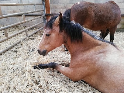 Equestrian Center Du Bois Rond, Centre Equestres à Savigny-le-Sec