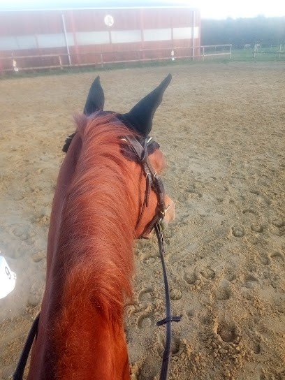 EARL LES CHEVAUX DE LA LANDE, Centre Equestres à Genillé