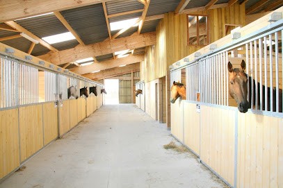 Ecuries des Bas Marquets, Pension pour Chevaux à Villons-les-Buissons