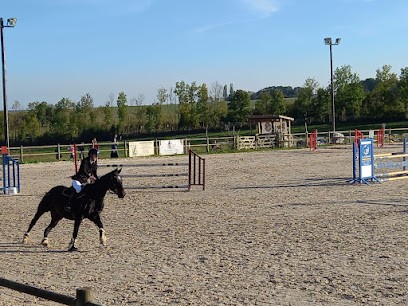 Centre équestre La Galopade, Centre Equestres à Lunéville