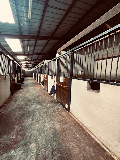 Écuries Equi-Caranzan, Pension Pour Chevaux à Brazey-en-Plaine