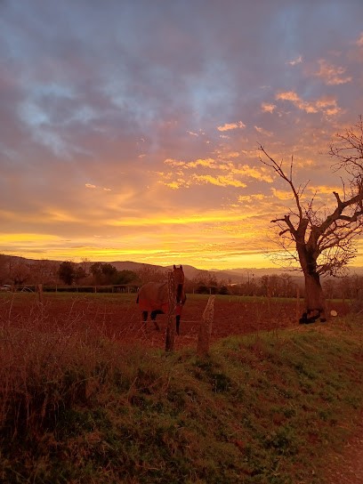 Ecurie Les 3 Graines, Pension pour Chevaux à Porcieu-Amblagnieu